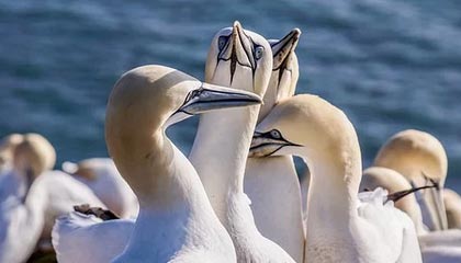 开yun体育官网入口登录体育-鲁能主场击败深圳，稳固积分榜前列位置