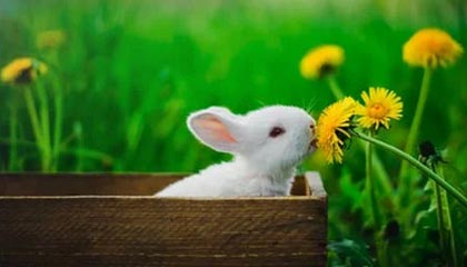 开云体育官网入口网页-巴黎战平梅斯，难解难分胜负