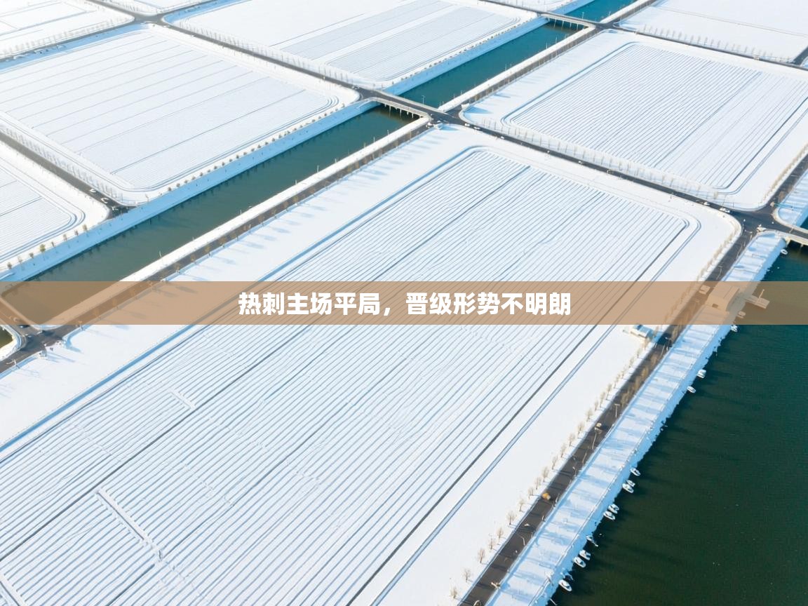 热刺主场平局，晋级形势不明朗  第2张