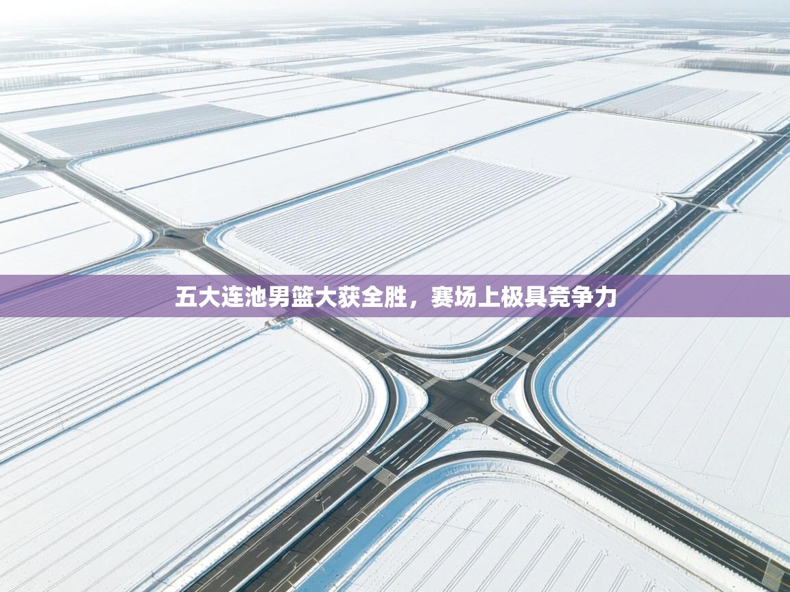 五大连池男篮大获全胜,赛场上极具竞争力 第1张