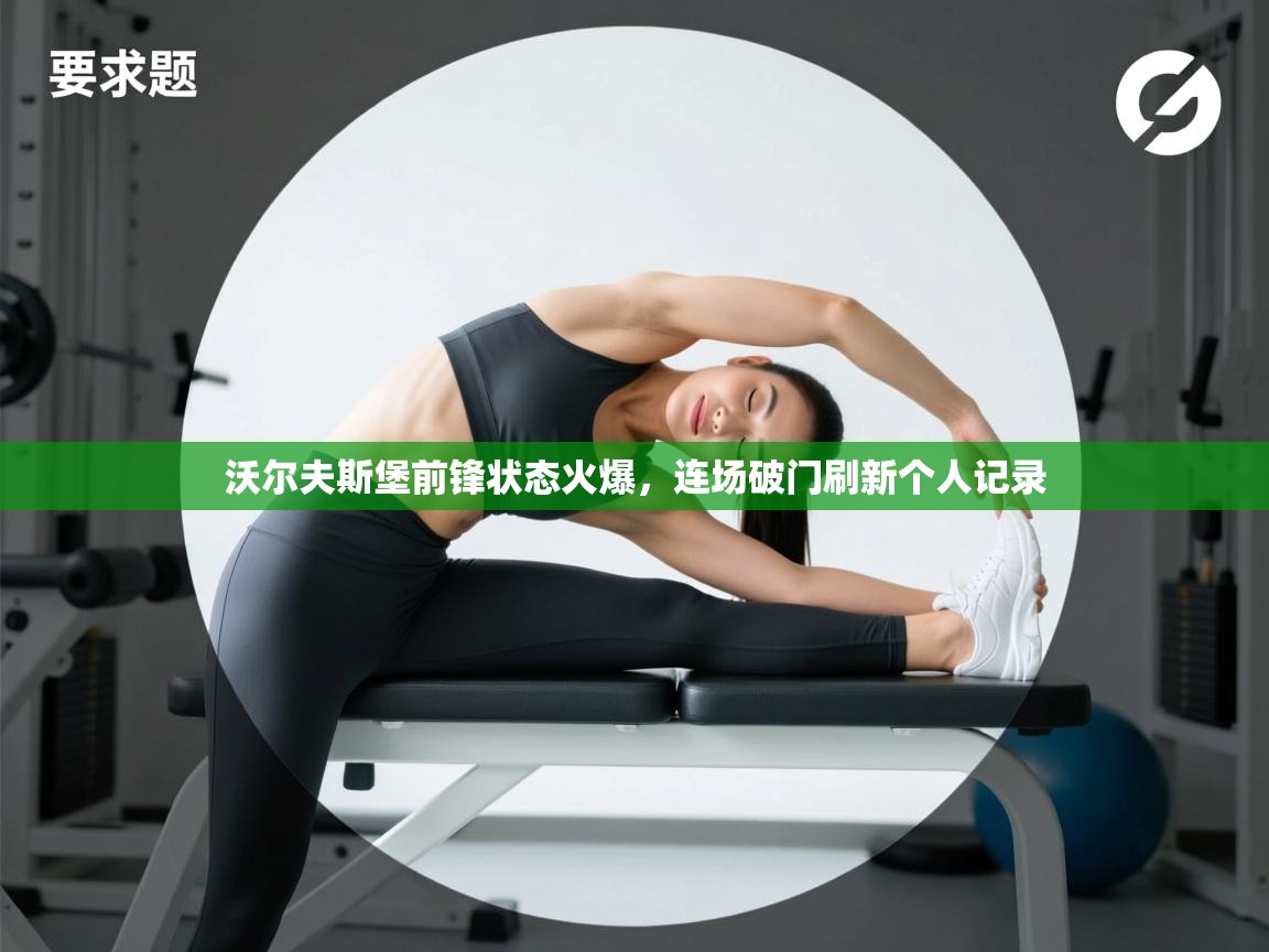 沃尔夫斯堡前锋状态火爆,连场破门刷新个人记录 第1张